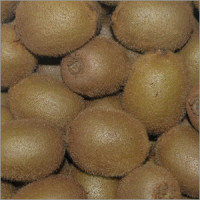 Kiwi gold 1 Stck