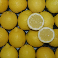 Zitrone gelegt Eureka 500g
