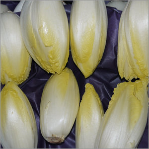 Chicoree Bioland 500g