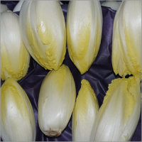 Chicoree Bioland 500g