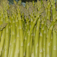 Wildspargel gr&uuml;n DEMETER 1kg