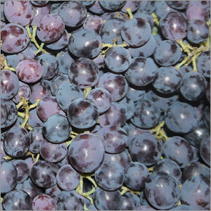 Traube blau Black Magic 500g