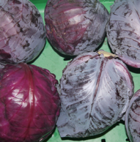 Rotkohl, ca. 1kg