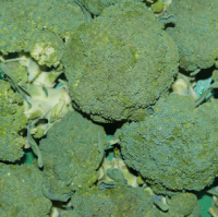 Broccoli BIOLAND, 1kg