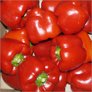 Paprika rot Spanien GB SIVISIO 1kg