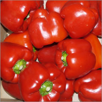 Paprika rot Spanien GB SIVISIO 1kg