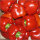 Paprika rot Spanien GB SIVISIO 1kg