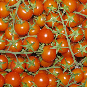 Cherry-Strauchtomate 500gr