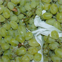 Traube wei&szlig; Victoria 500g