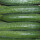 Schlangengurke Demeter